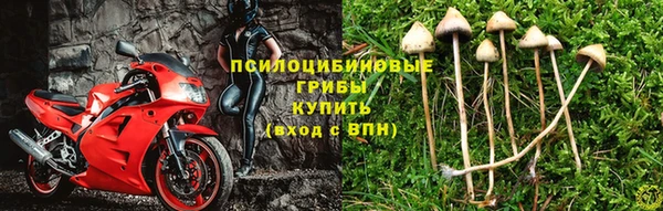 гашиш Горнозаводск