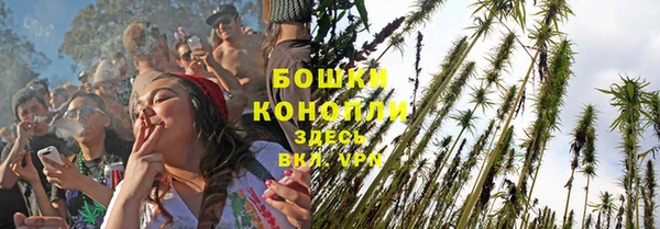 альфа пвп Гусев