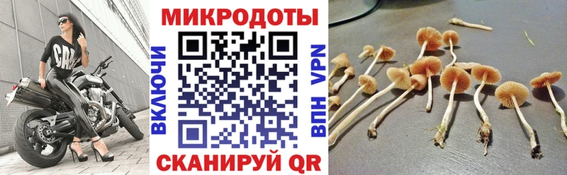 Галлюциногенные грибы мухоморы  Купить где  Калачинск 
